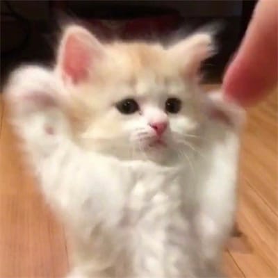 James Go avatar